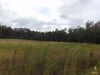 8 Miracle Acres Ln photo